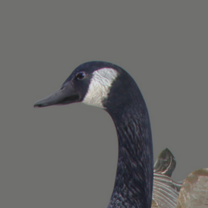 Pack - Farm Animals 3D model_19