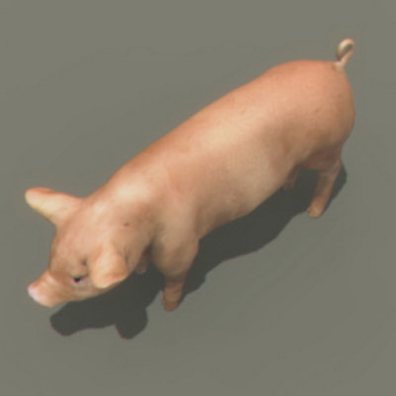 Pack - Farm Animals 3D model_26