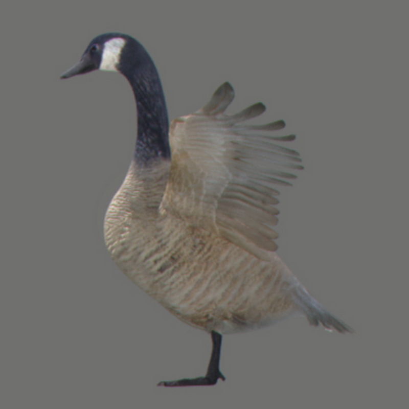 Pack - Farm Animals 3D model_20