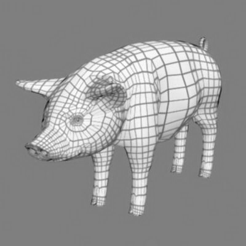 Pack - Farm Animals 3D model_29