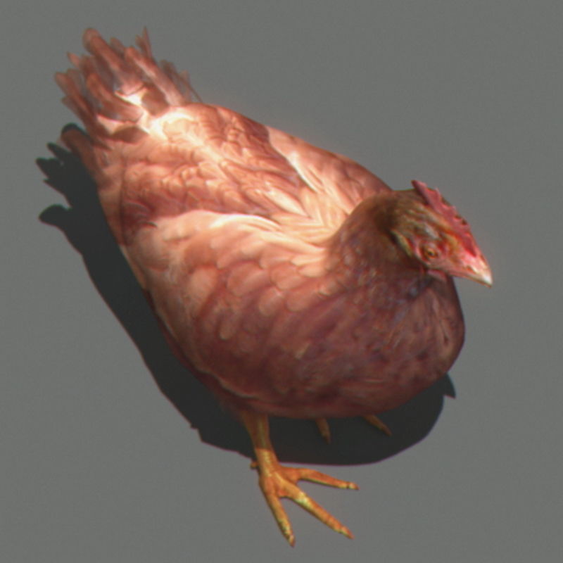 Pack - Farm Animals 3D model_22