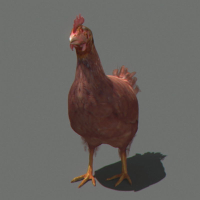Pack - Farm Animals 3D model_23