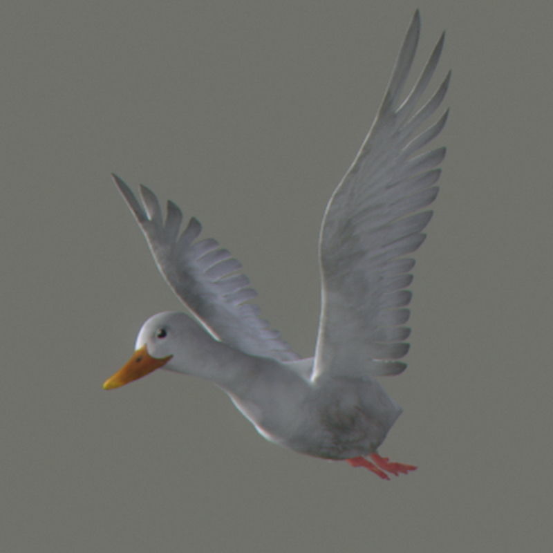 Pack - Farm Animals 3D model_10