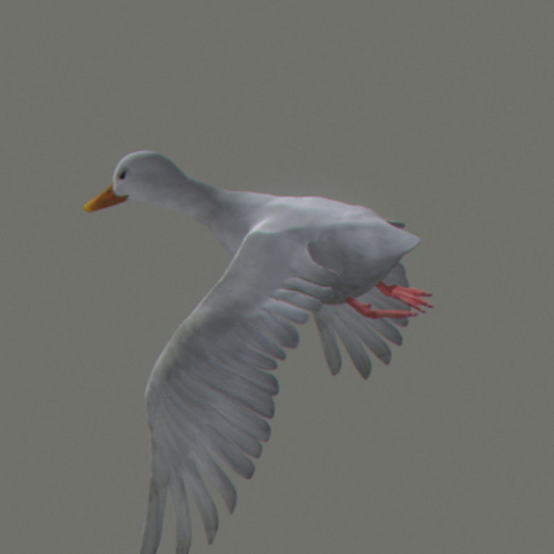 Pack - Farm Animals 3D model_11