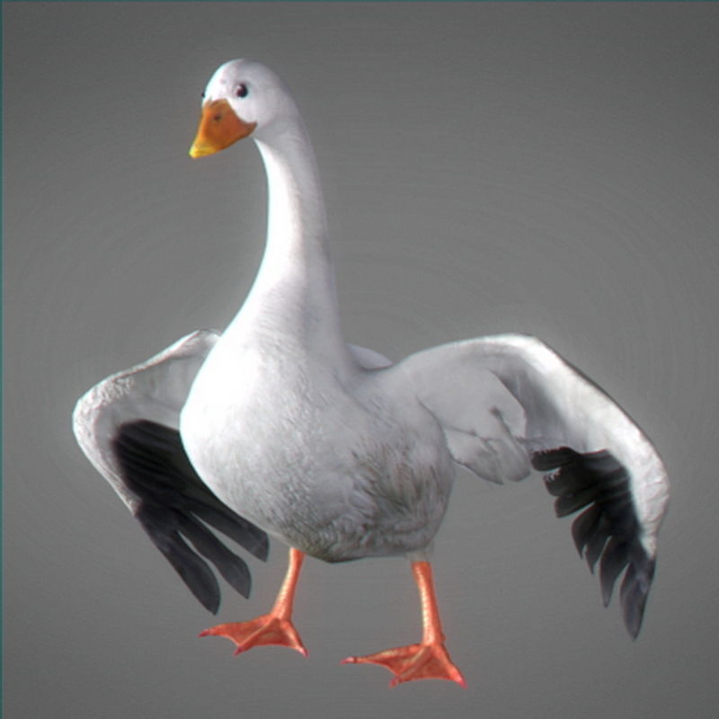 Pack - Farm Animals 3D model_30