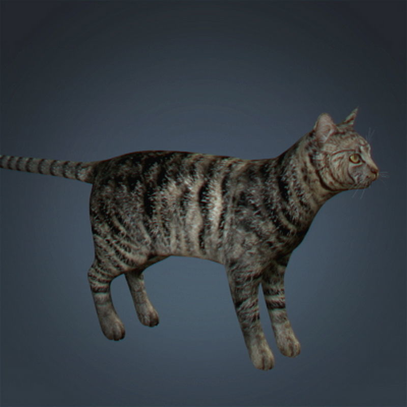 Pack - Farm Animals 3D model_1