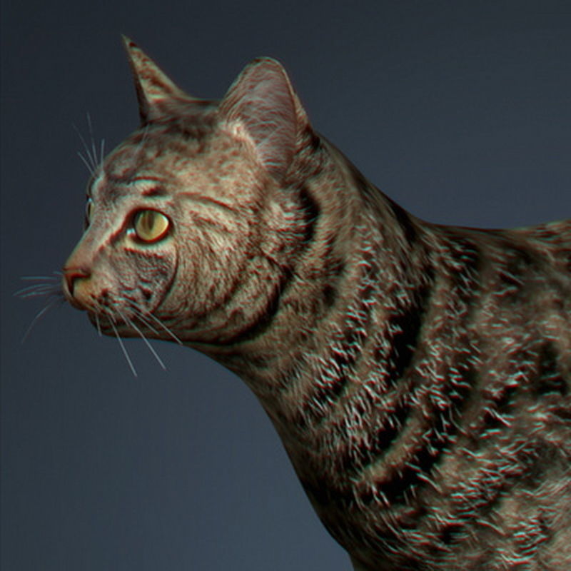 Pack - Farm Animals 3D model_3