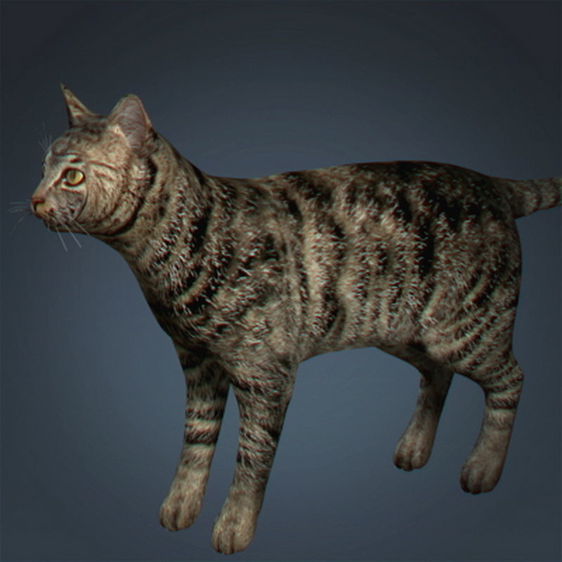 Pack - Farm Animals 3D model_4