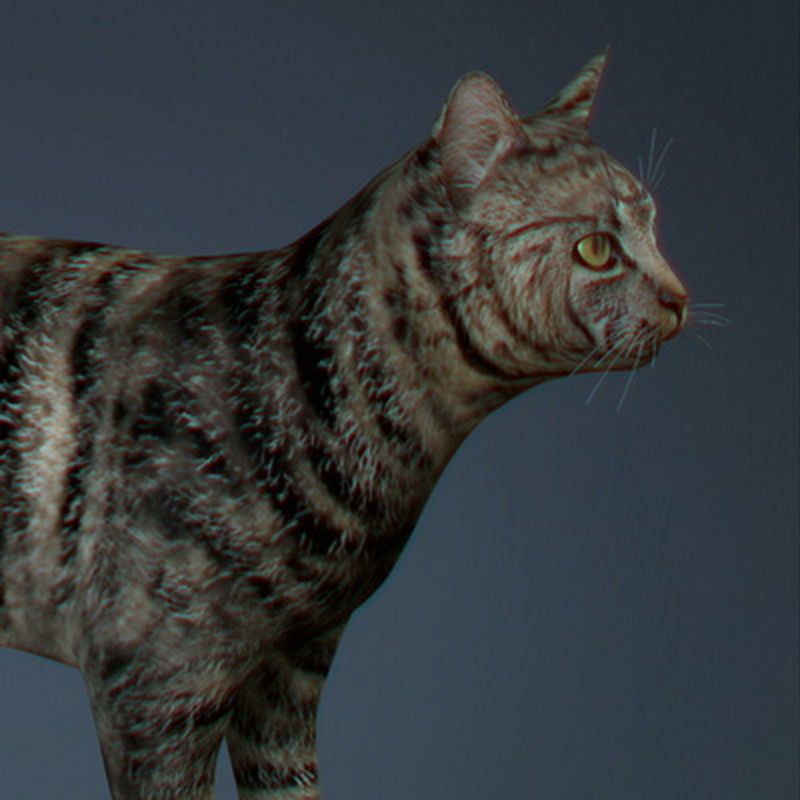 Pack - Farm Animals 3D model_2