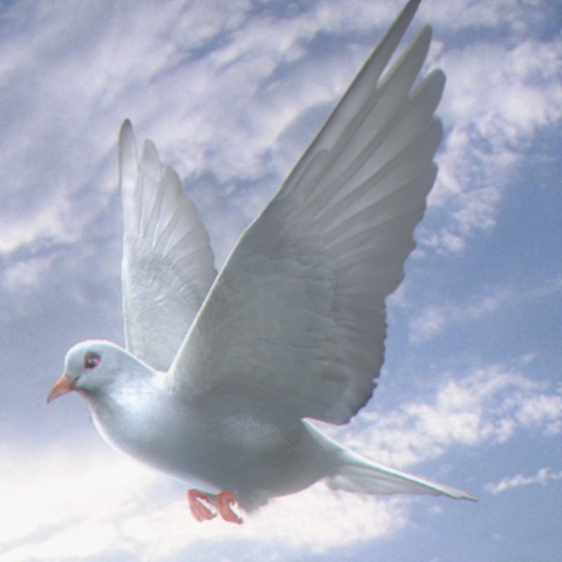 Pack - Farm Animals 3D model_5