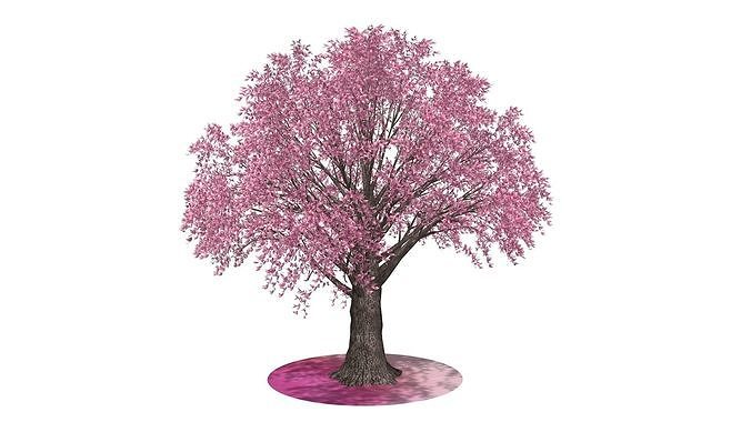 Pink Tree 3D model