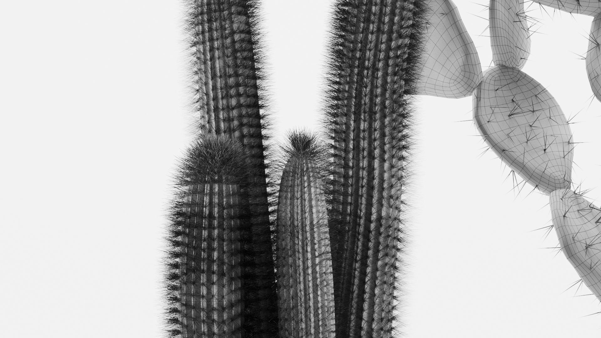 Cacti In Concrete Pots 3D model_8