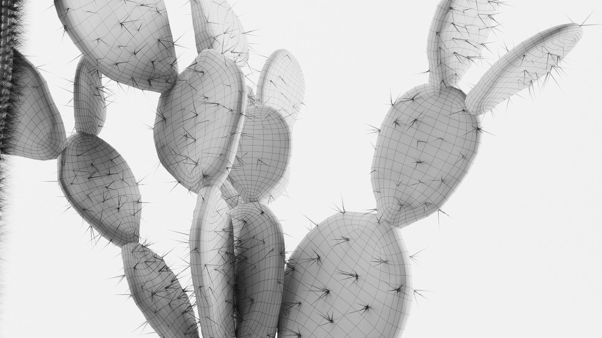 Cacti In Concrete Pots 3D model_9