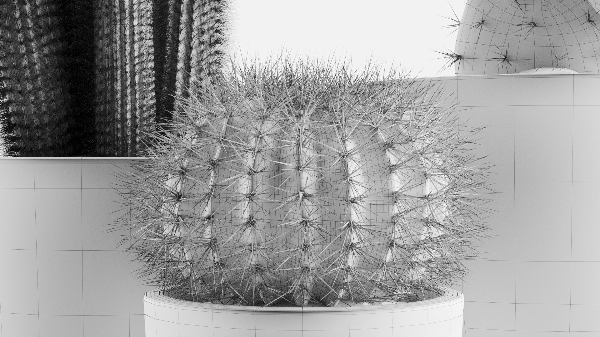 Cacti In Concrete Pots 3D model_10