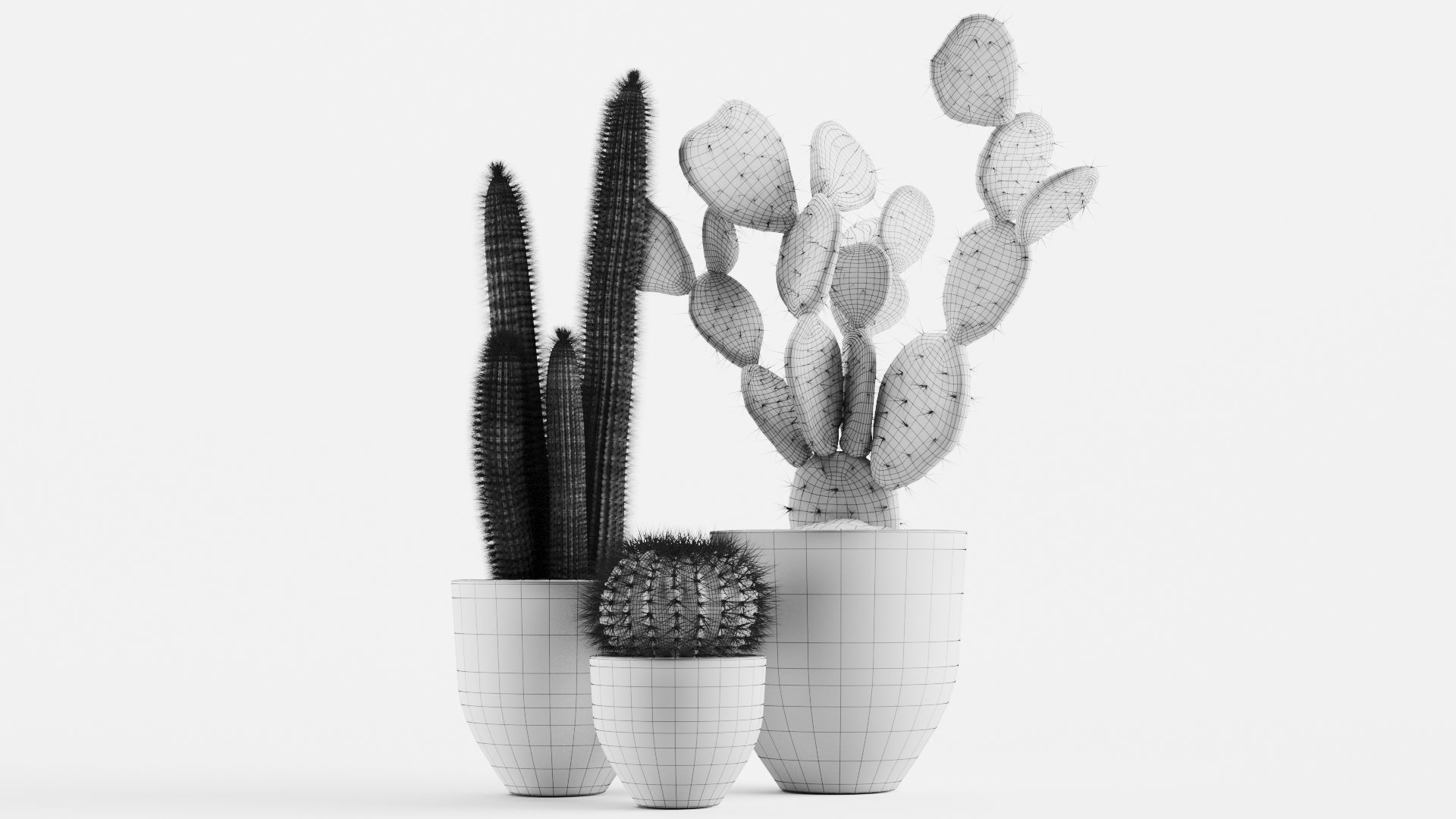 Cacti In Concrete Pots 3D model_7
