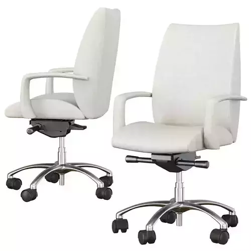 Detente Executive Mid Back Swivel Chair by HBF studio 