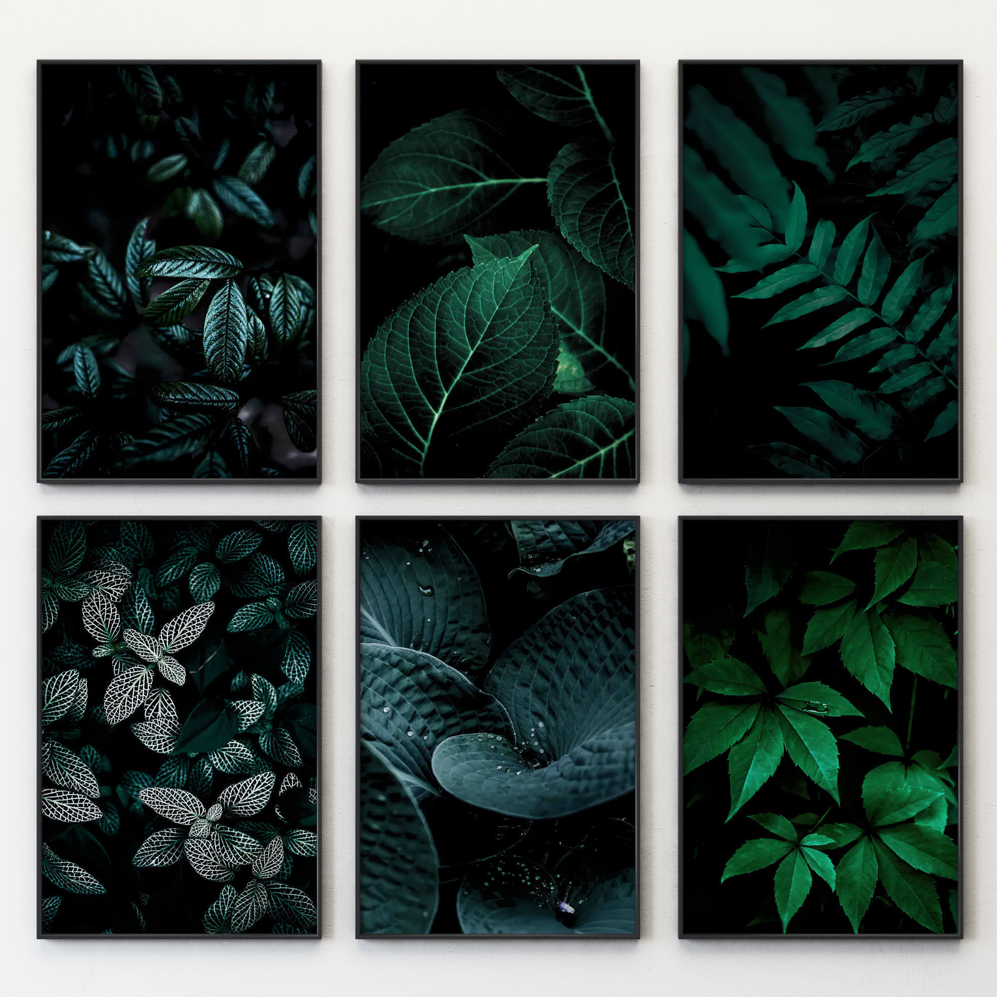 JUNIQE Dark leaves poster 3D model_3