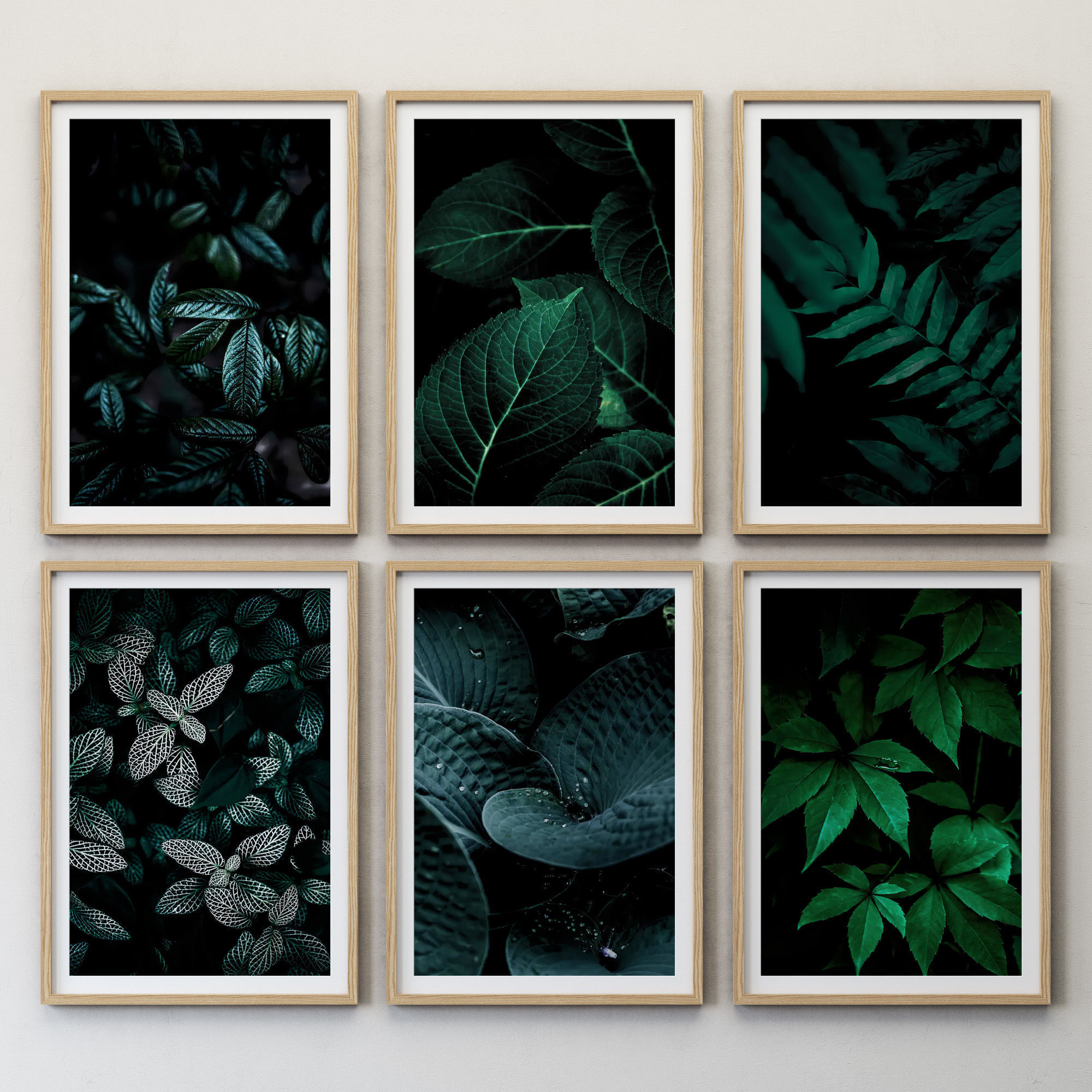 JUNIQE Dark leaves poster 3D model_2