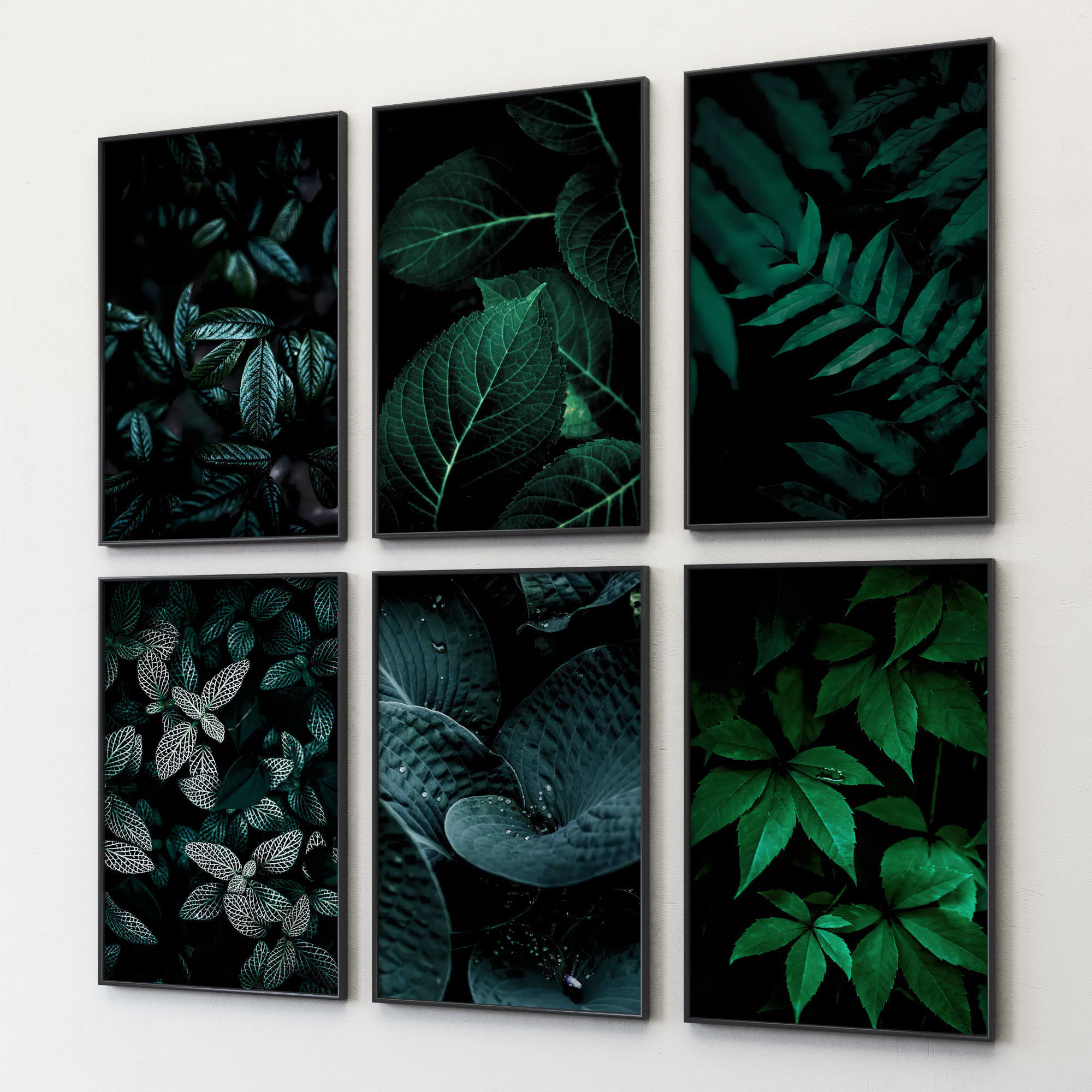 JUNIQE Dark leaves poster 3D model_4