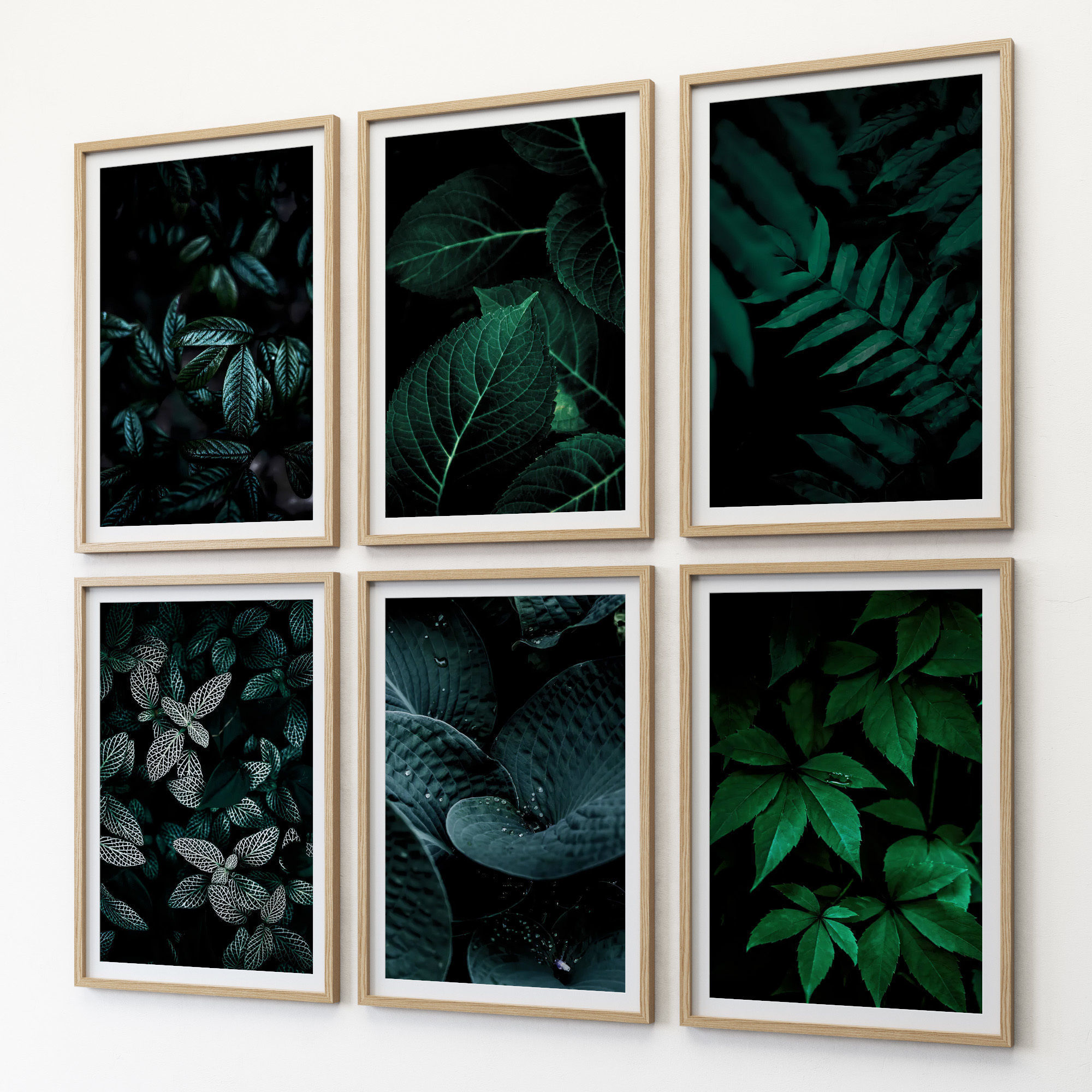 JUNIQE Dark leaves poster 3D model_1