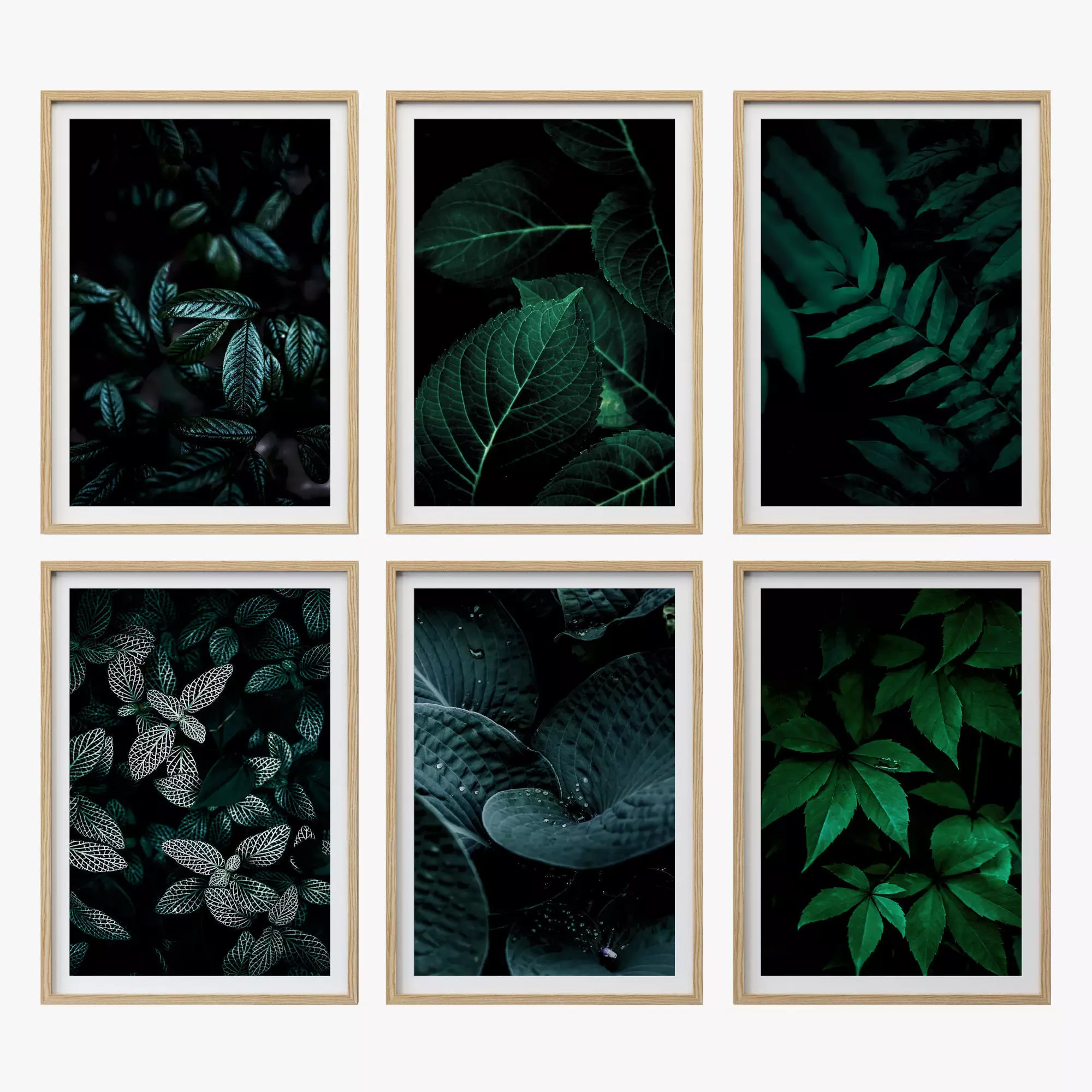 JUNIQE Dark leaves poster 3D model_0