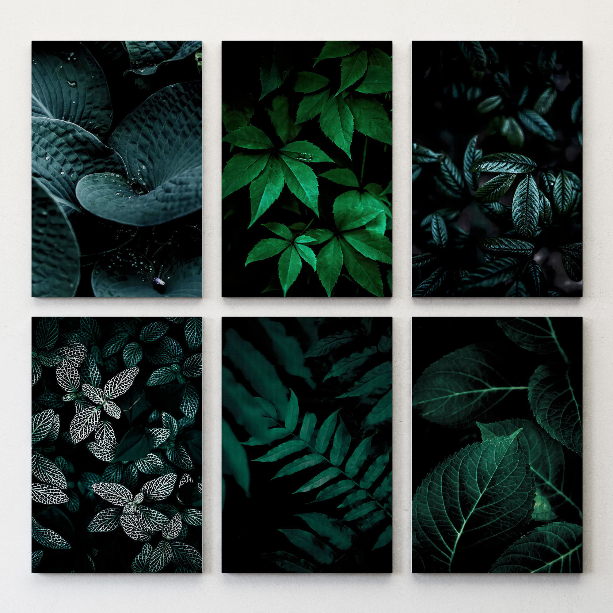 JUNIQE Dark leaves poster 3D model_5