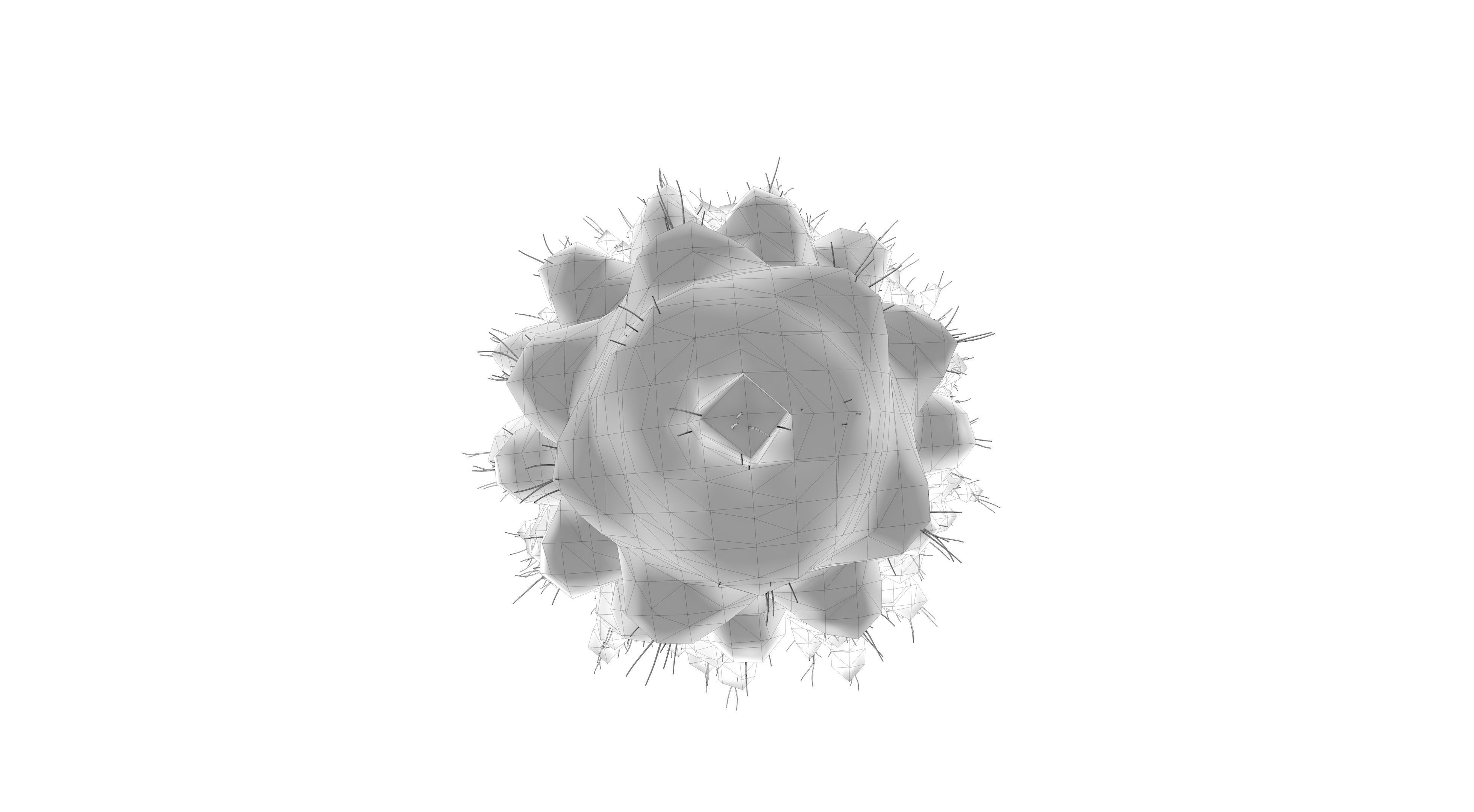 Snow Abies Fraseri Tree 3D model_9