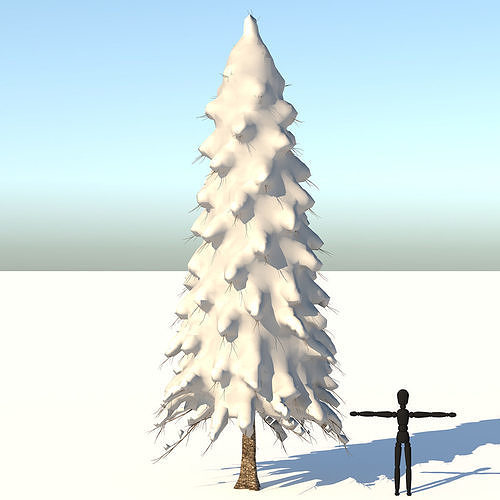 Snow Abies Fraseri Tree 3D model