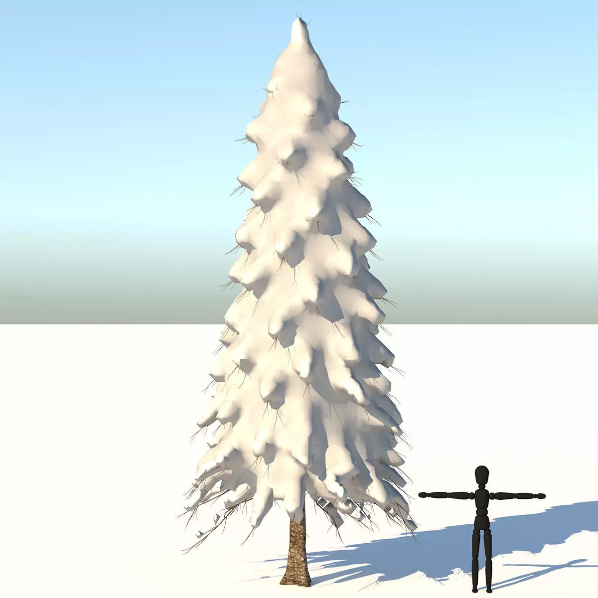 Snow Abies Fraseri Tree 3D model_0