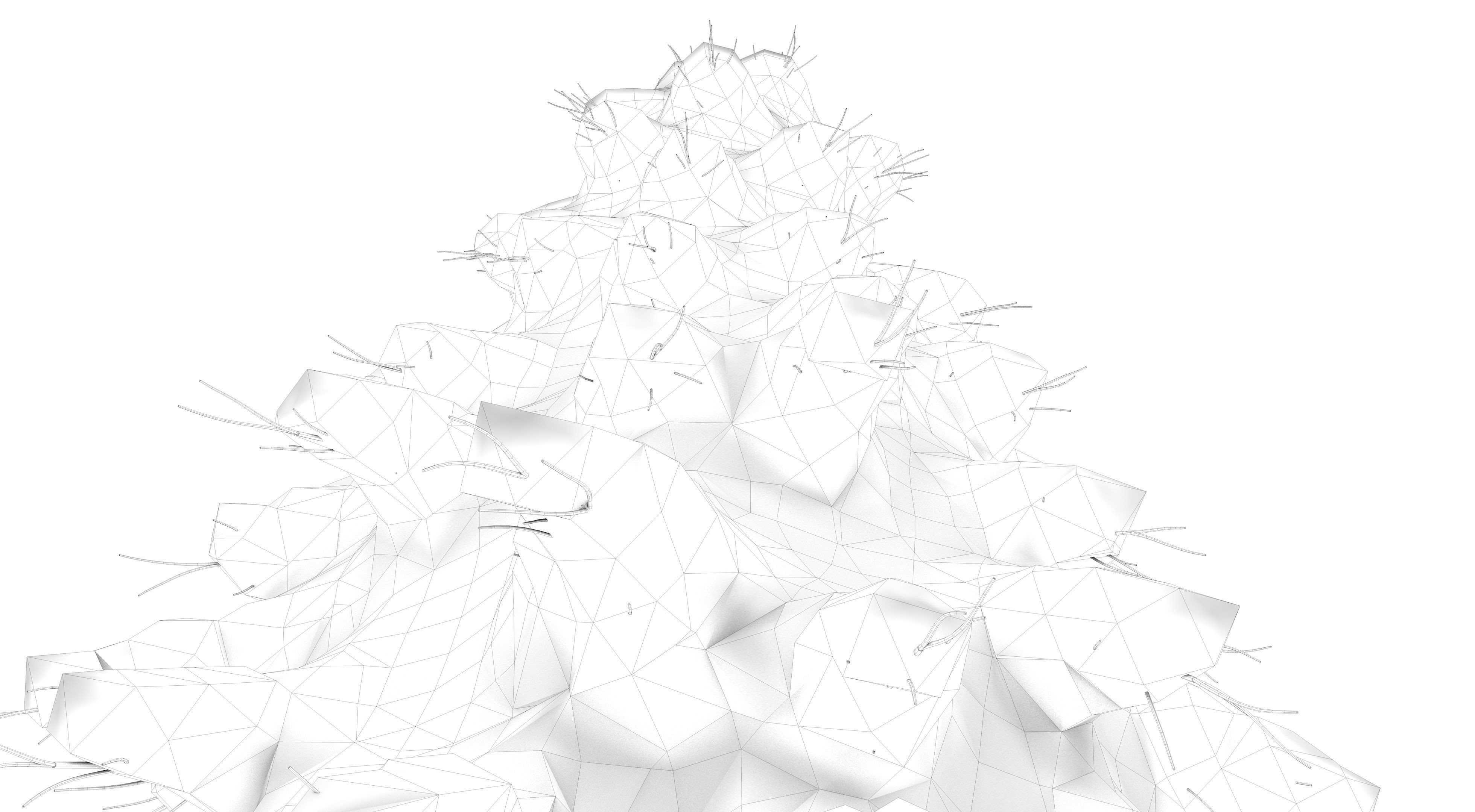 Snow Abies Fraseri Tree 3D model_14