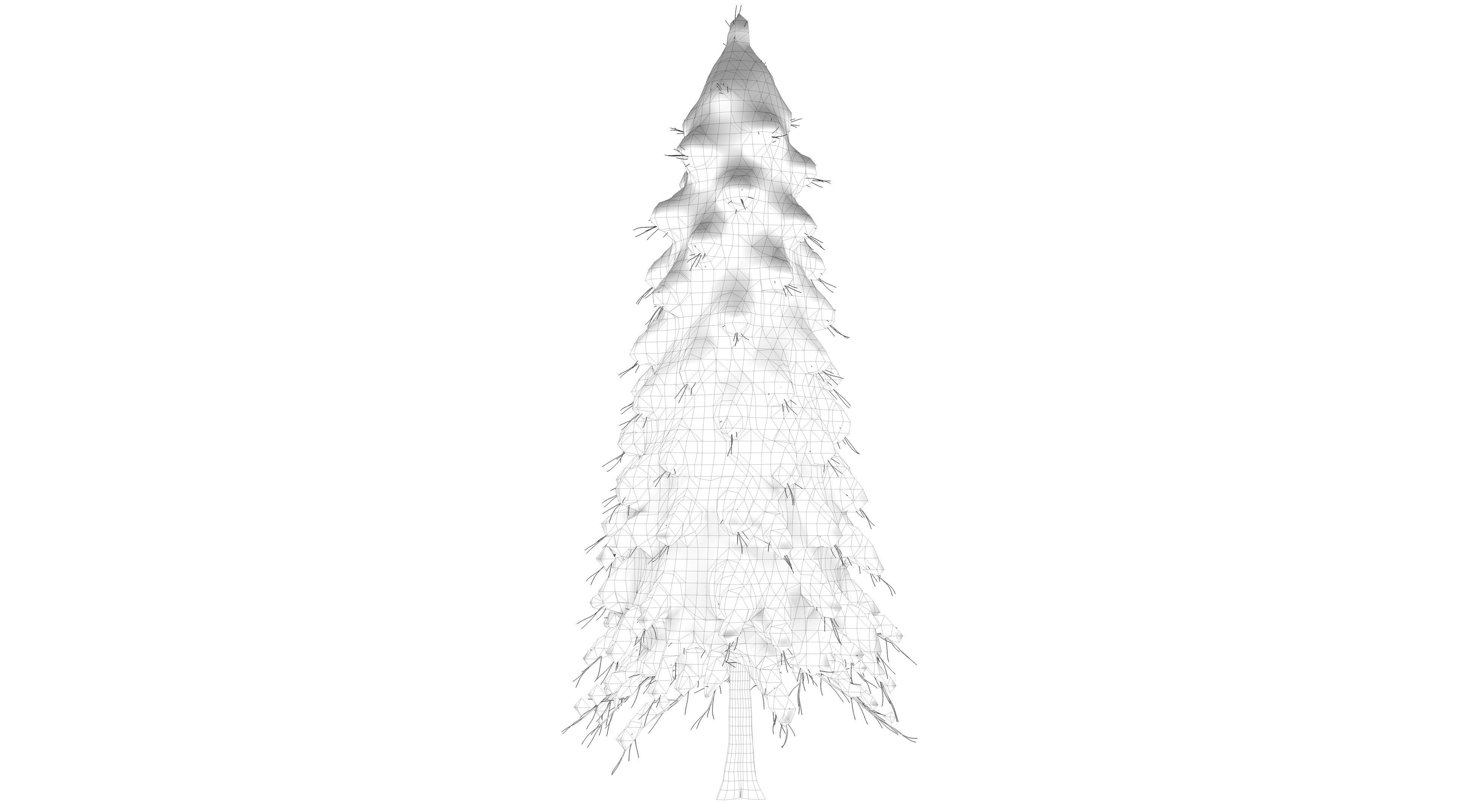 Snow Abies Fraseri Tree 3D model_13