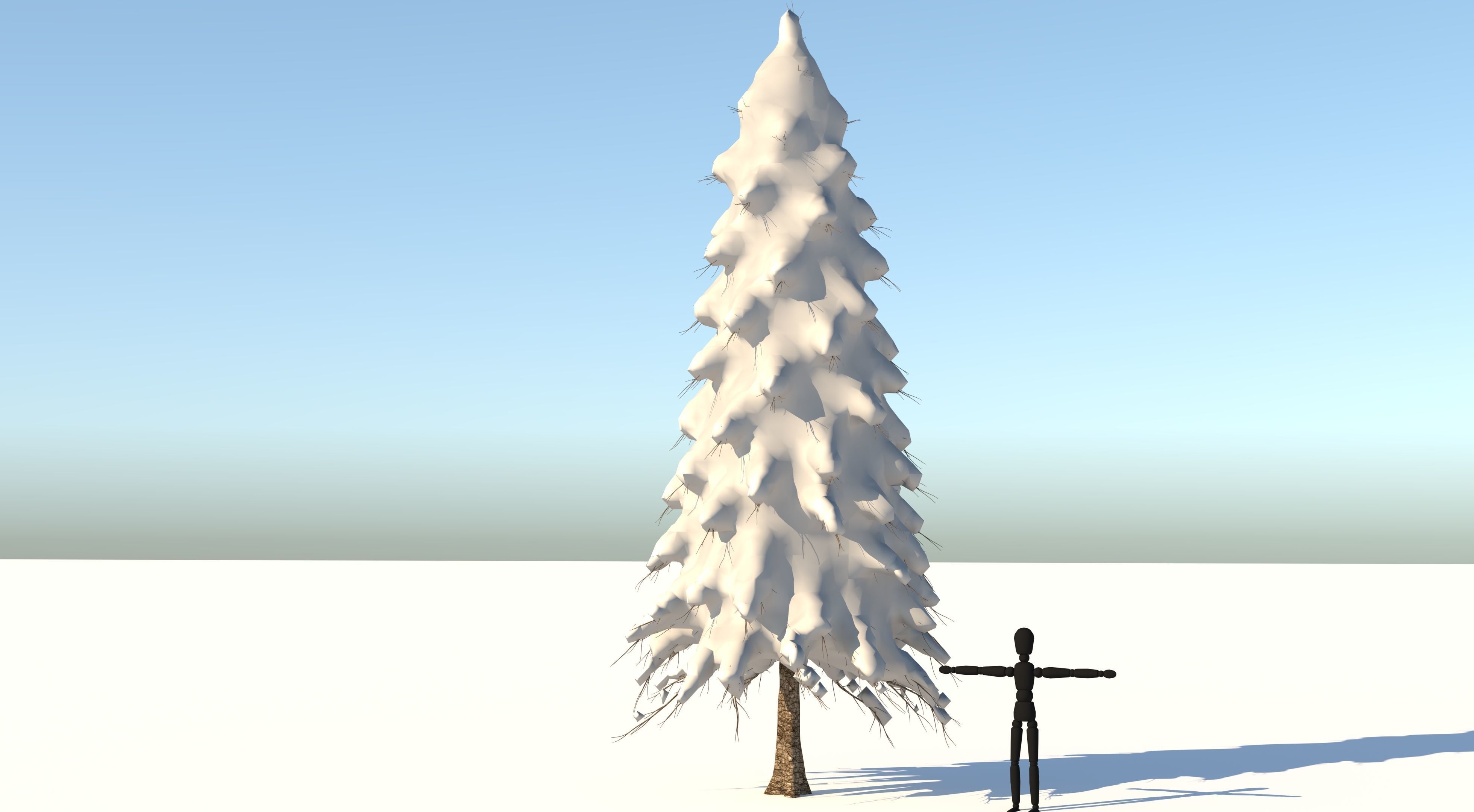 Snow Abies Fraseri Tree 3D model_3