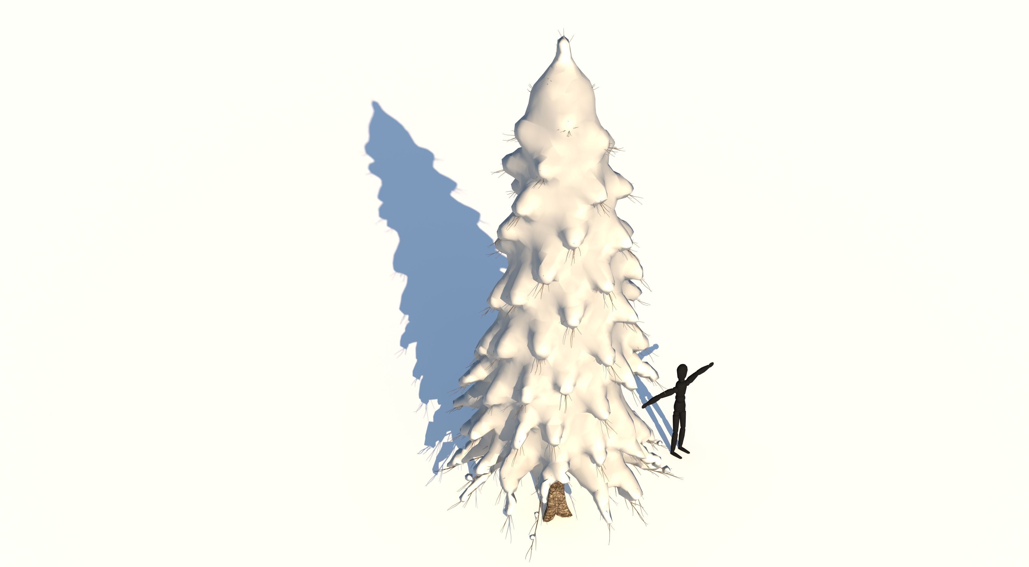 Snow Abies Fraseri Tree 3D model_1