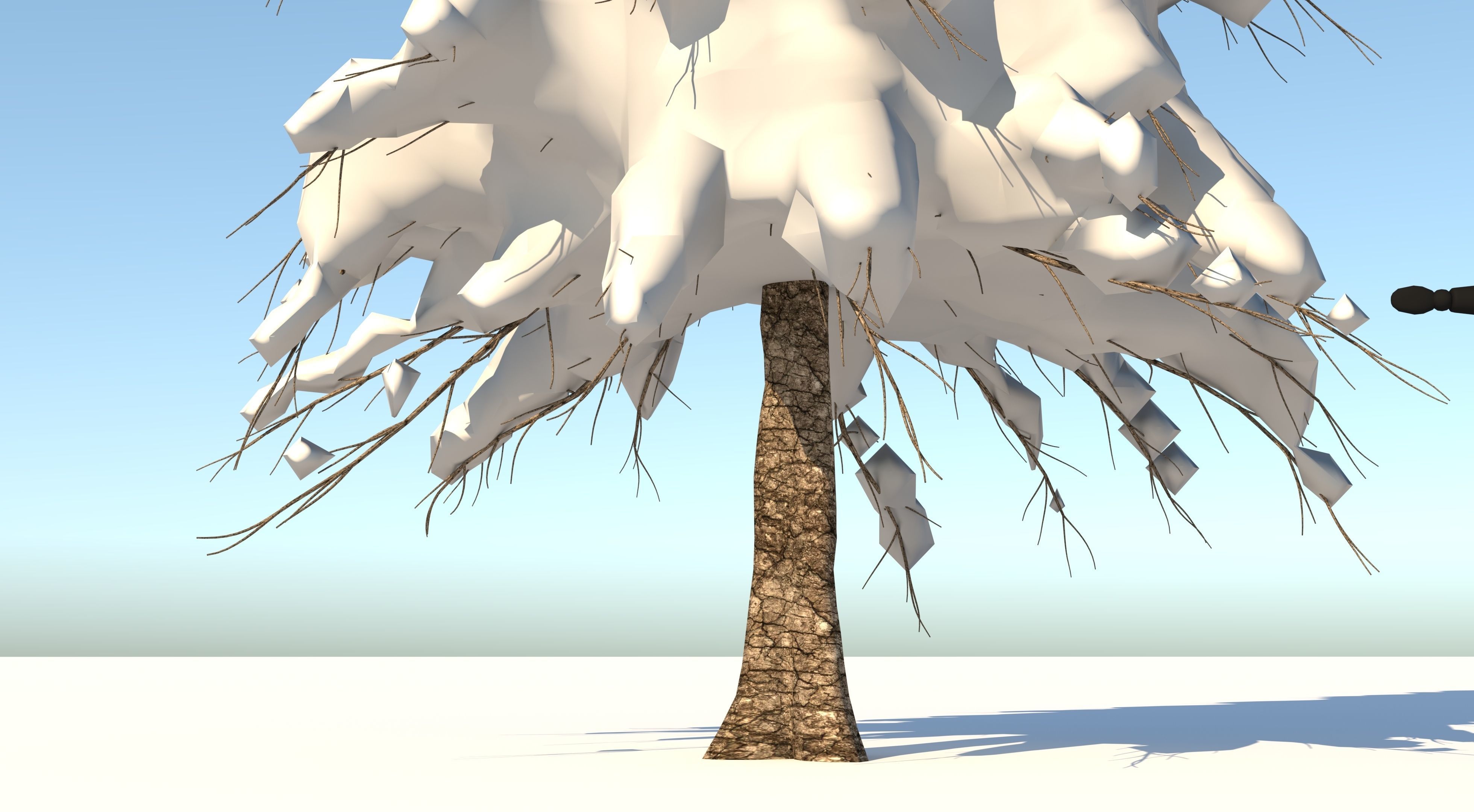 Snow Abies Fraseri Tree 3D model_6
