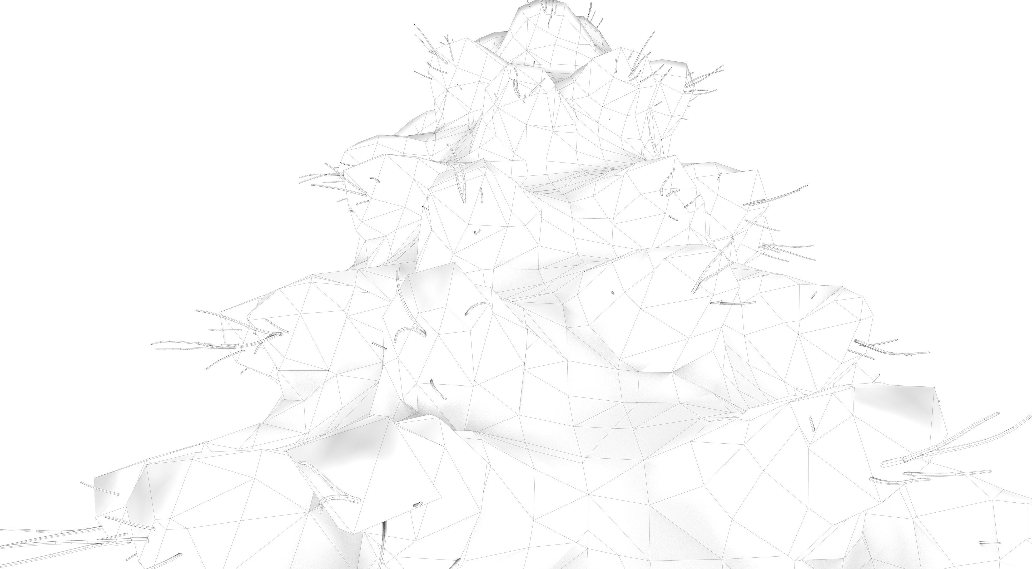 Snow Abies Fraseri Tree 3D model_12