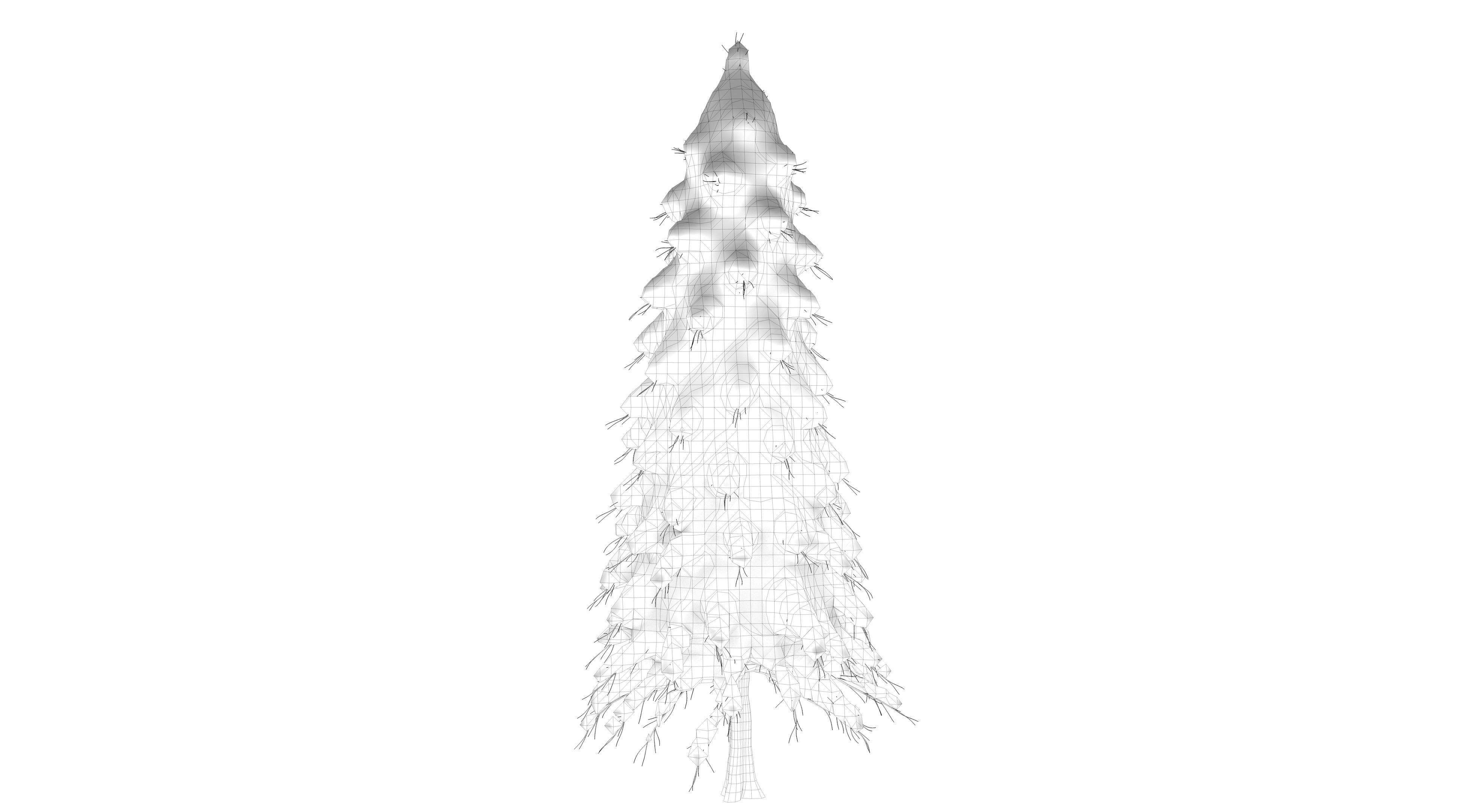 Snow Abies Fraseri Tree 3D model_8