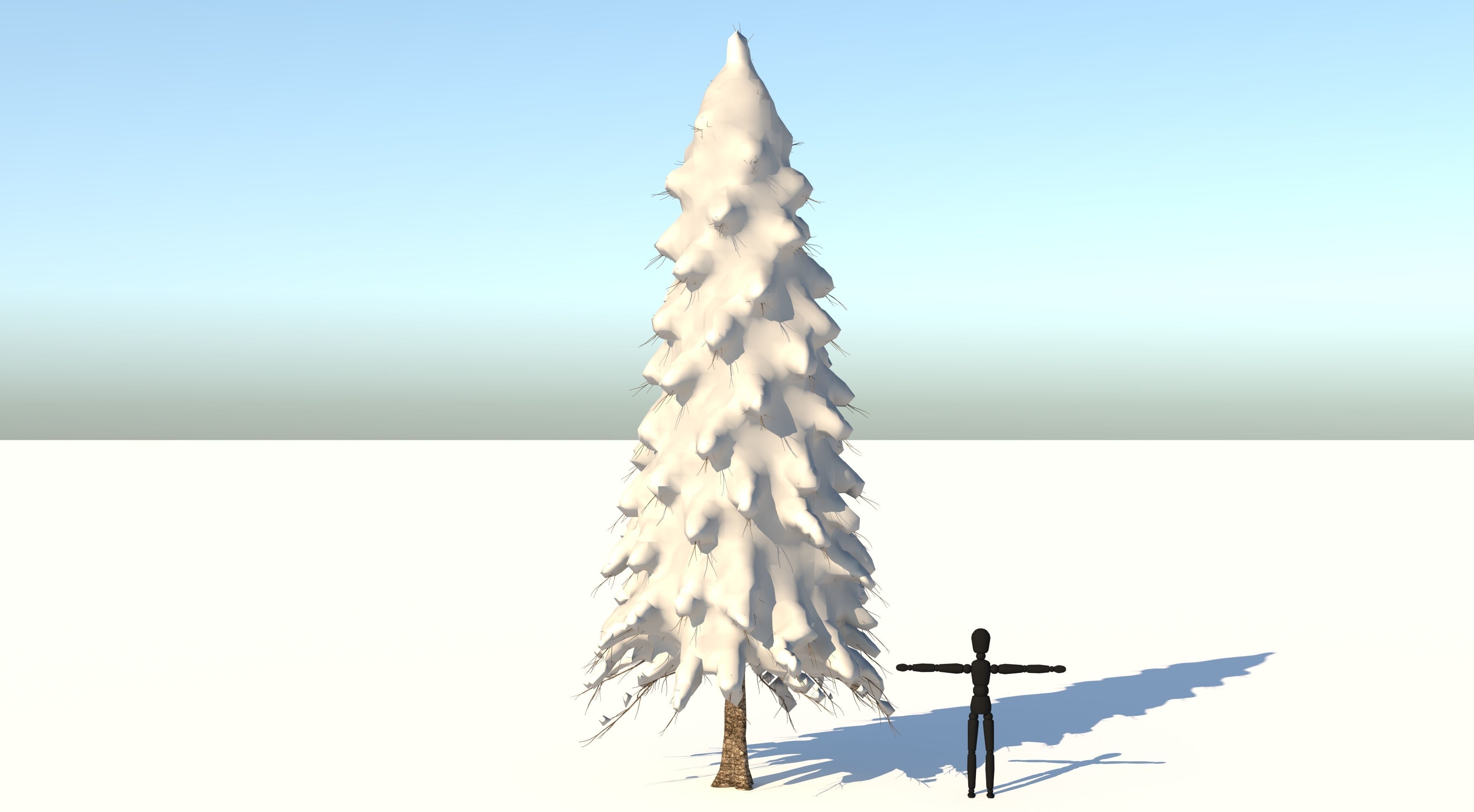 Snow Abies Fraseri Tree 3D model_2