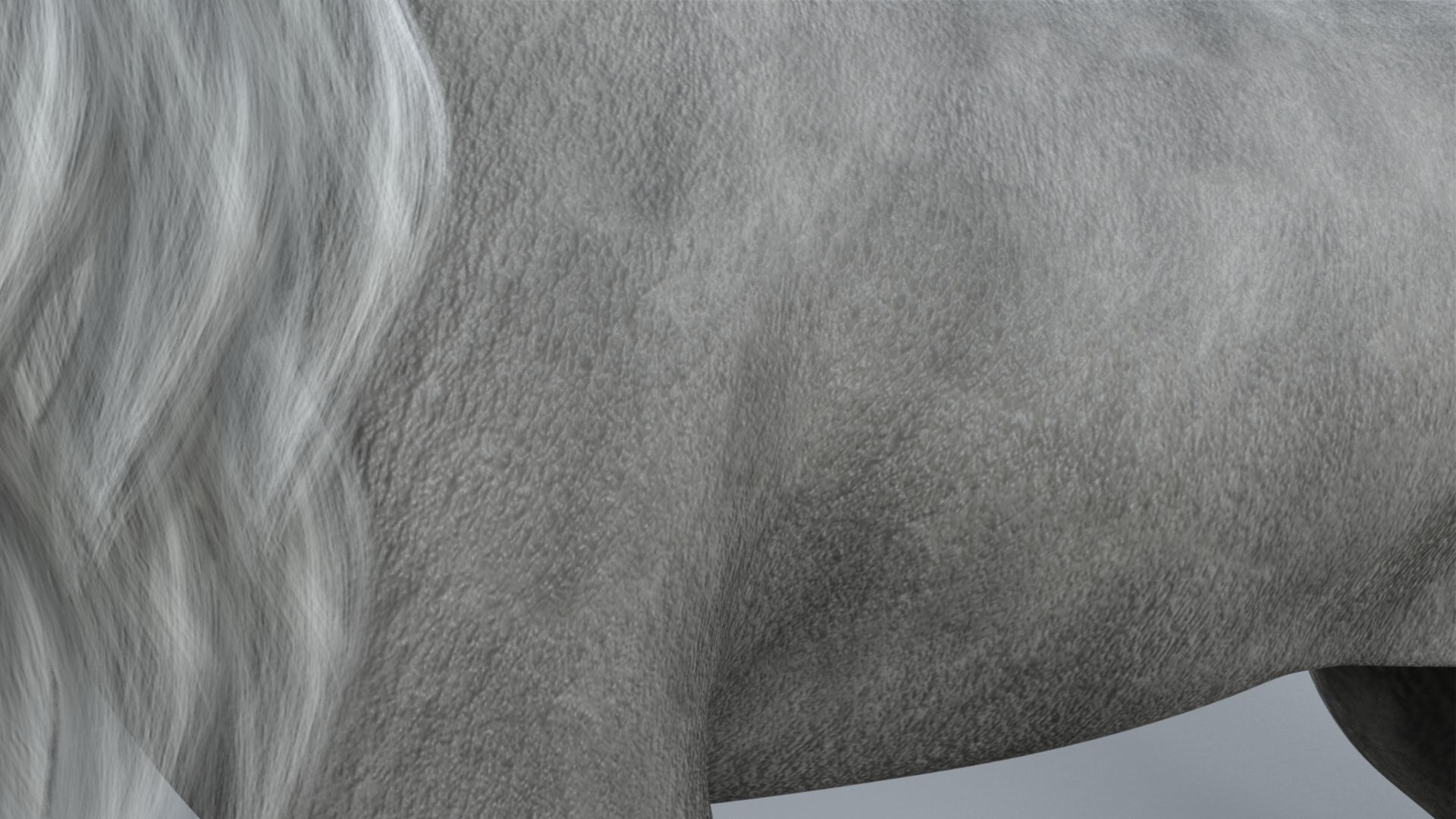 White Lion 3D model_34