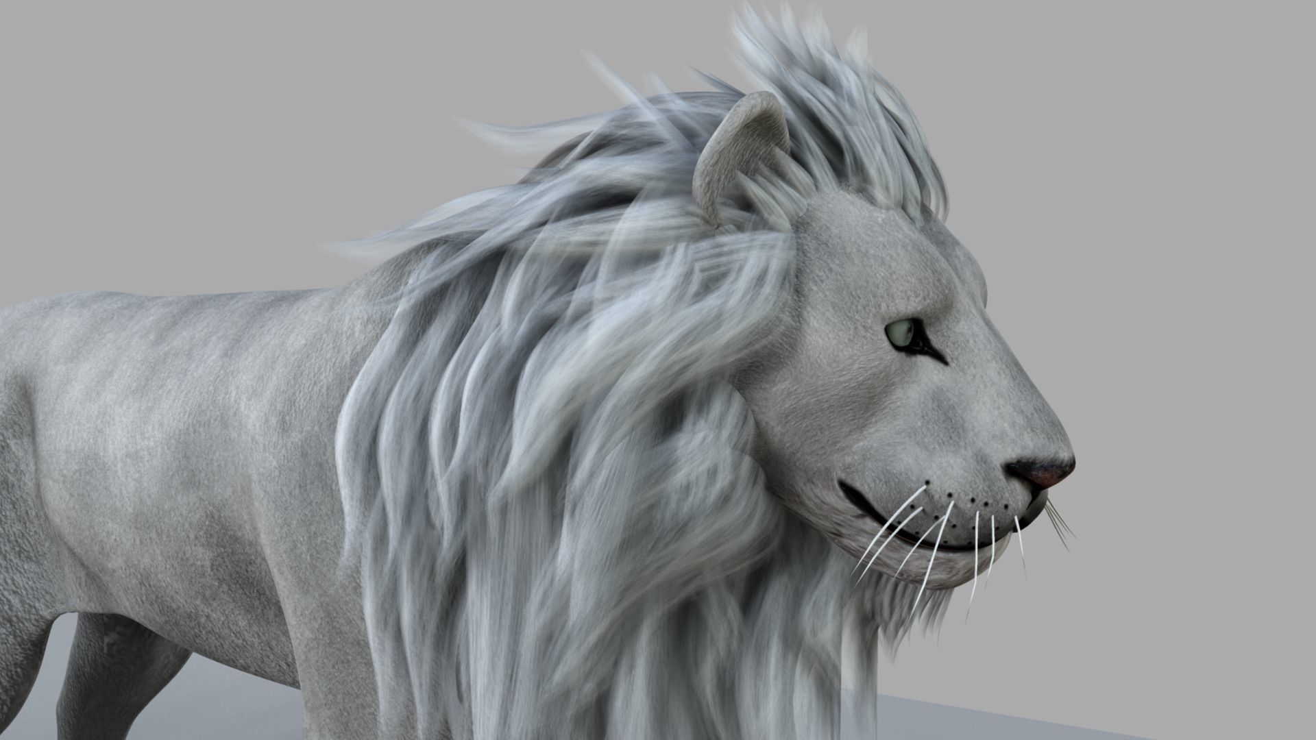White Lion 3D model_5