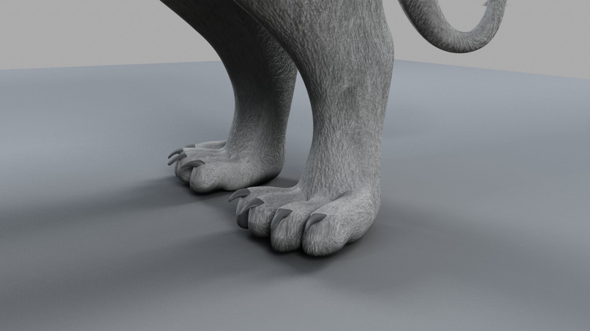 White Lion 3D model_30