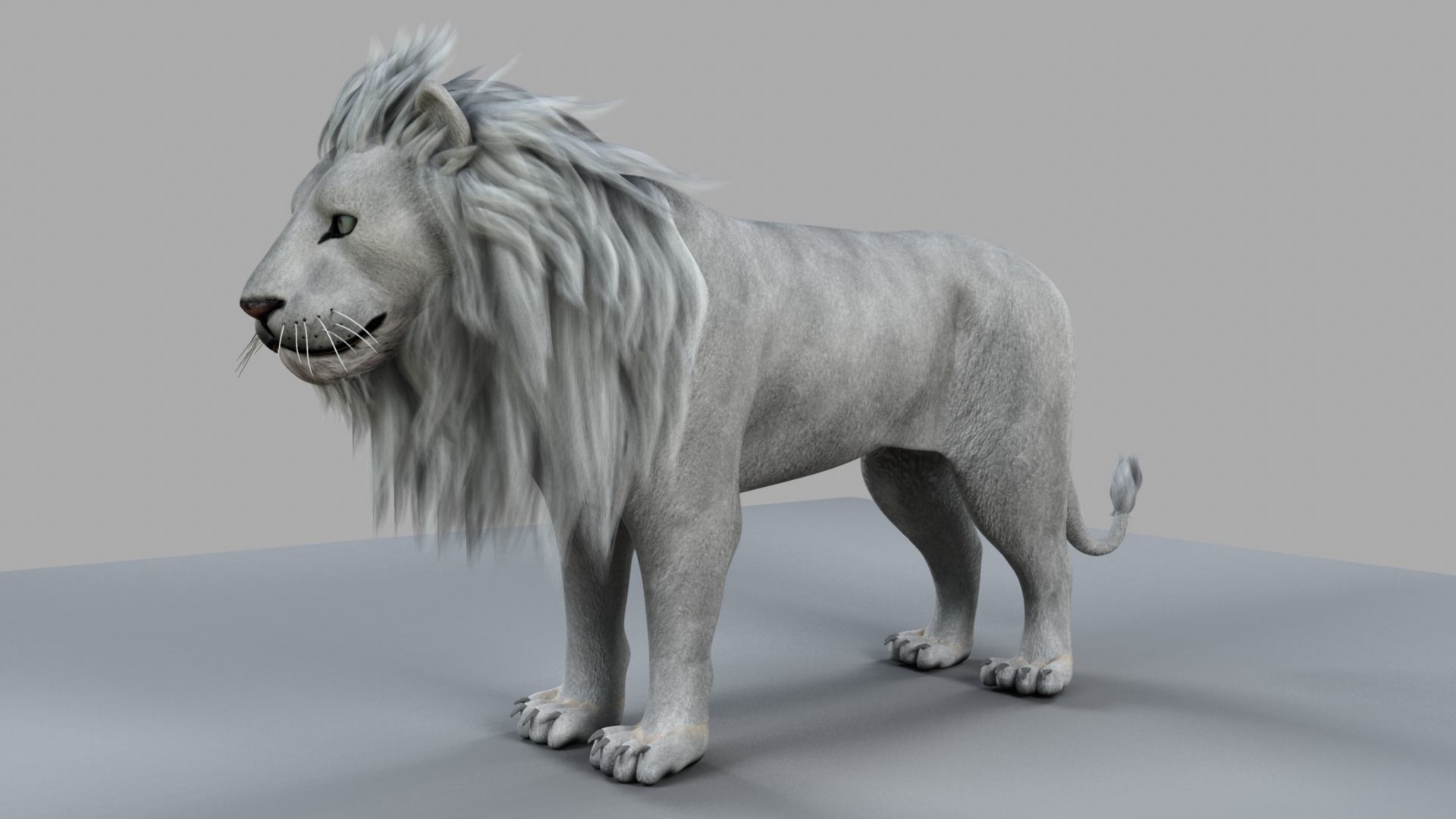 White Lion 3D model_10