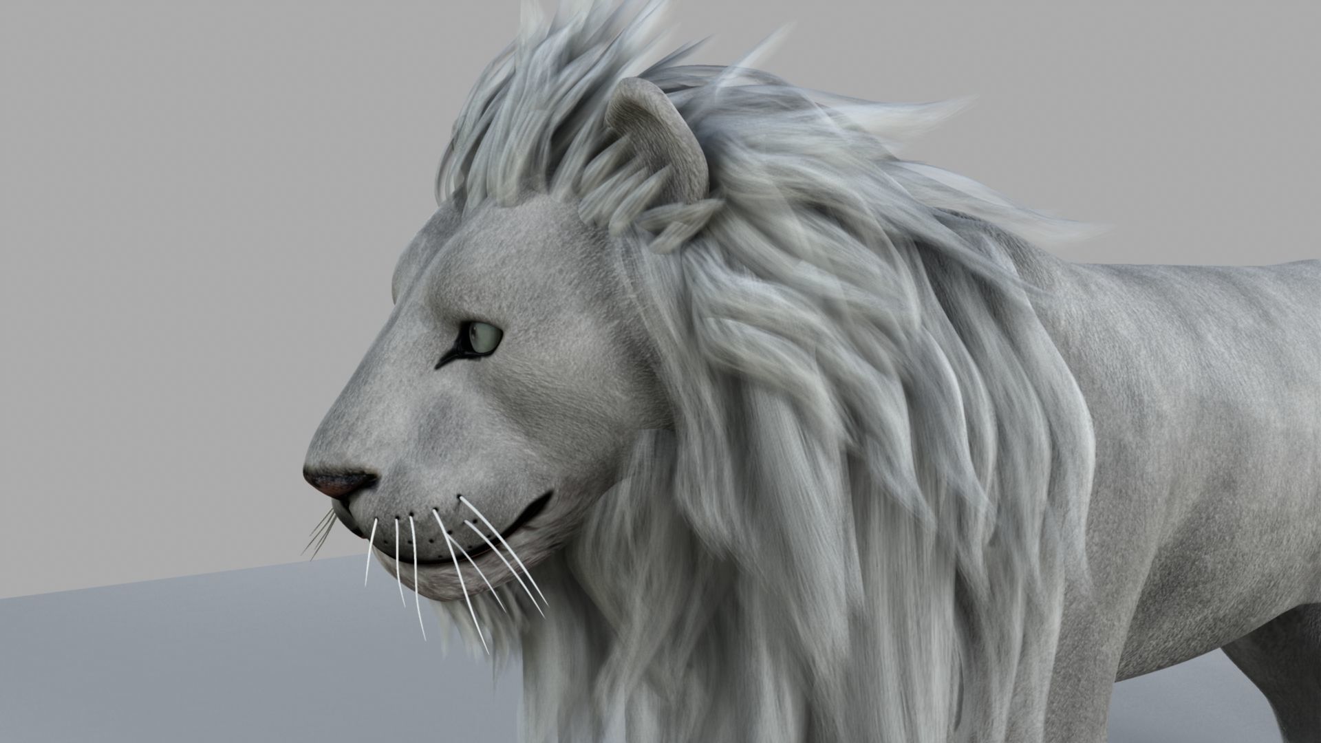White Lion 3D model_4