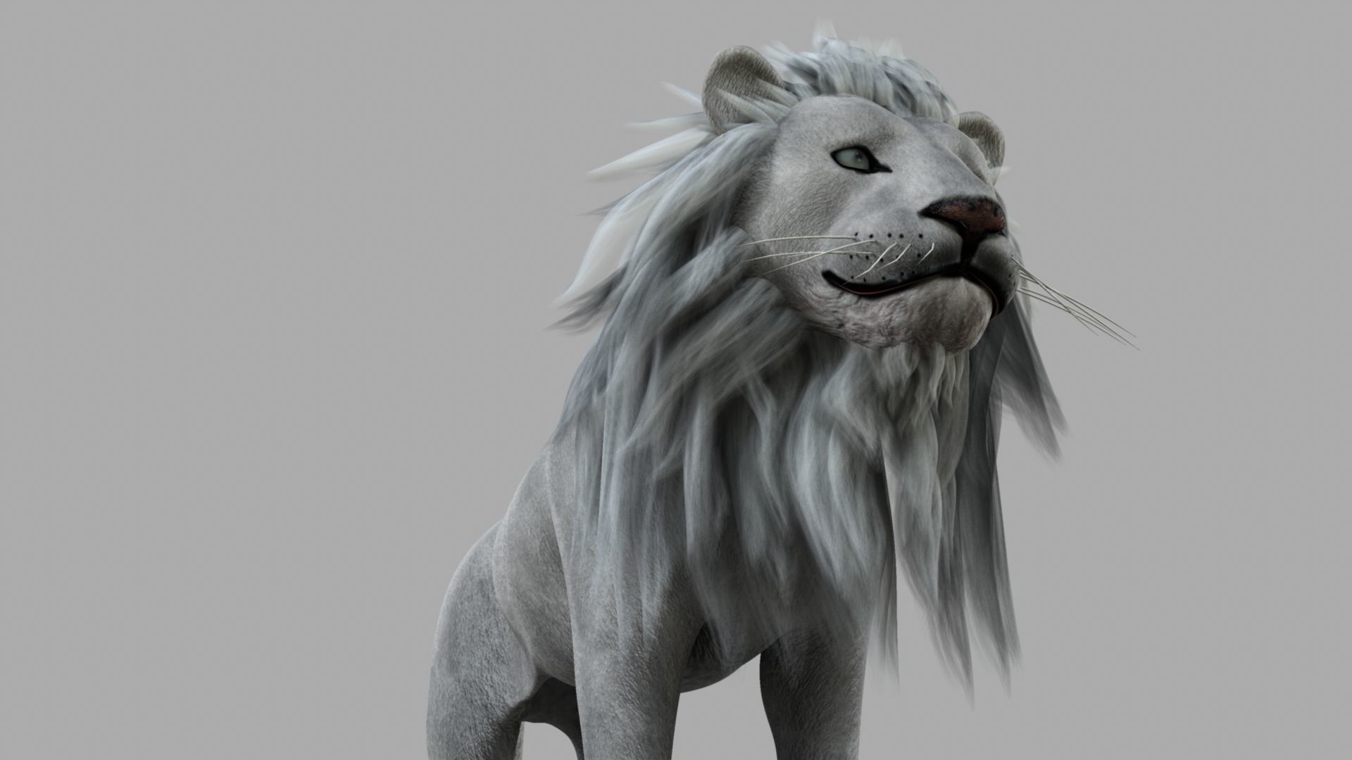 White Lion 3D model_28