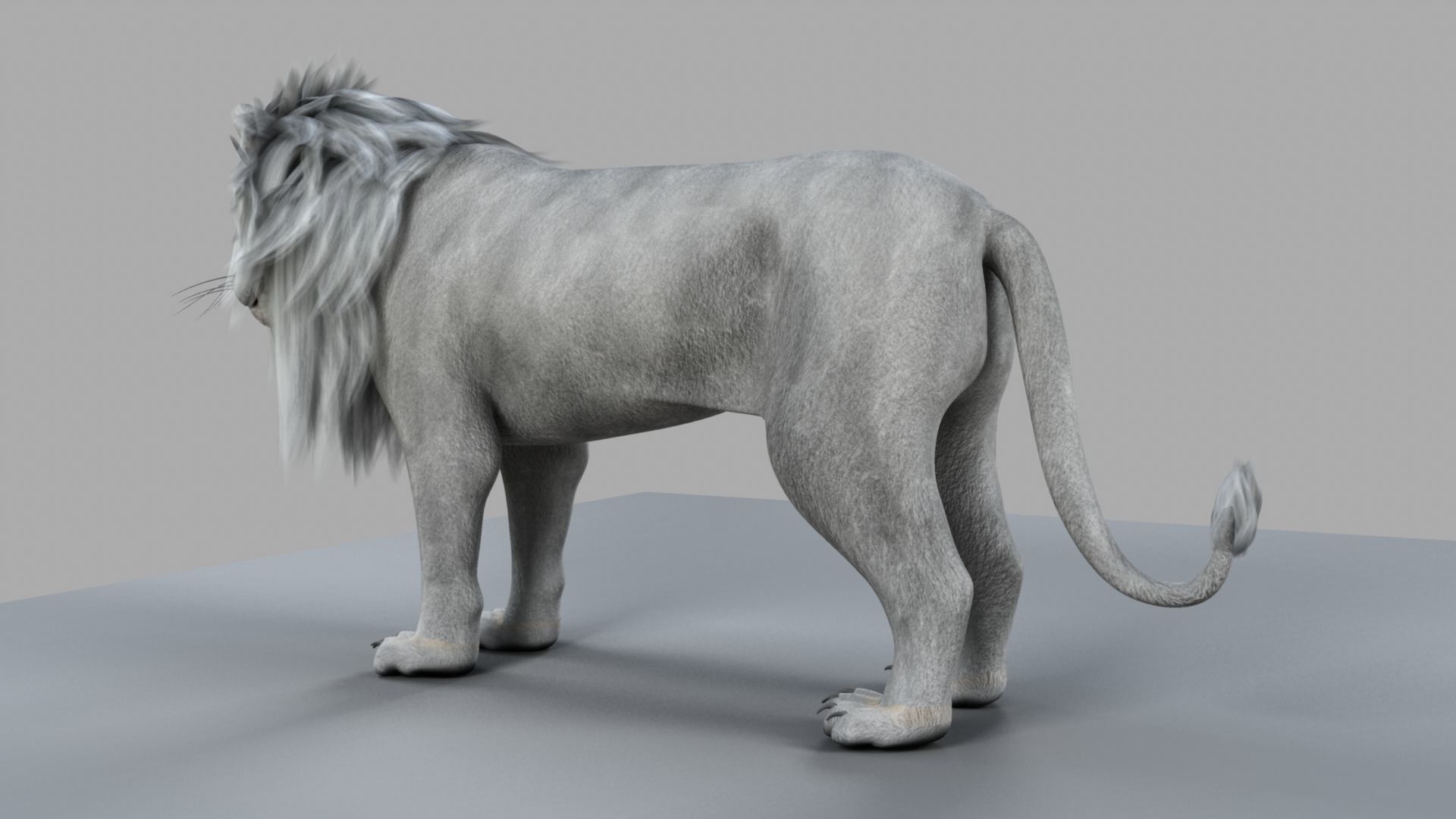 White Lion 3D model_6