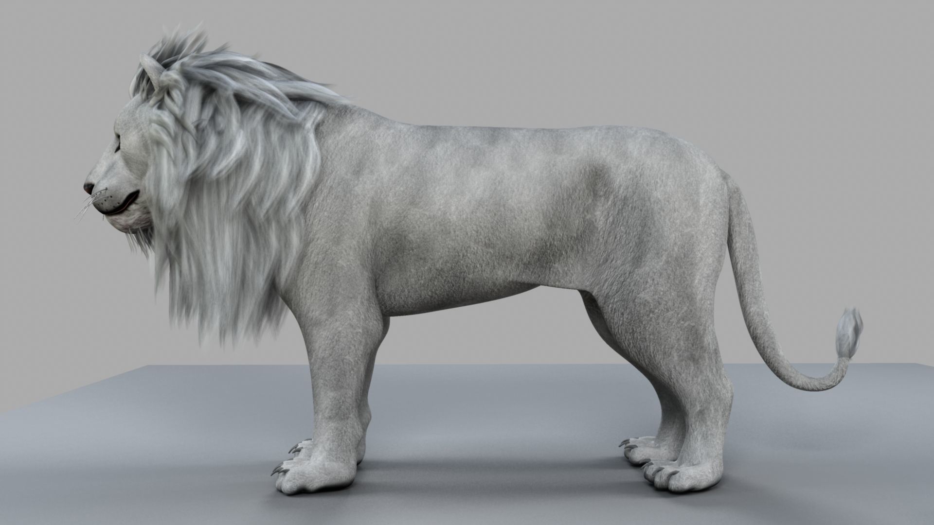 White Lion 3D model_31