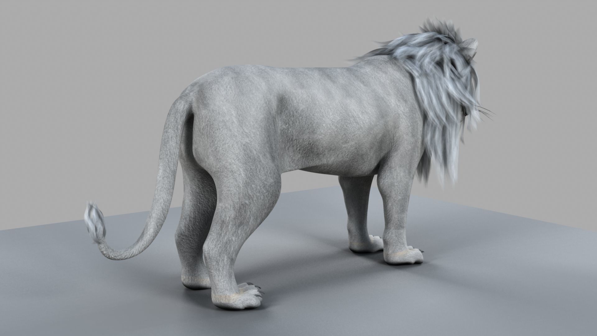 White Lion 3D model_3