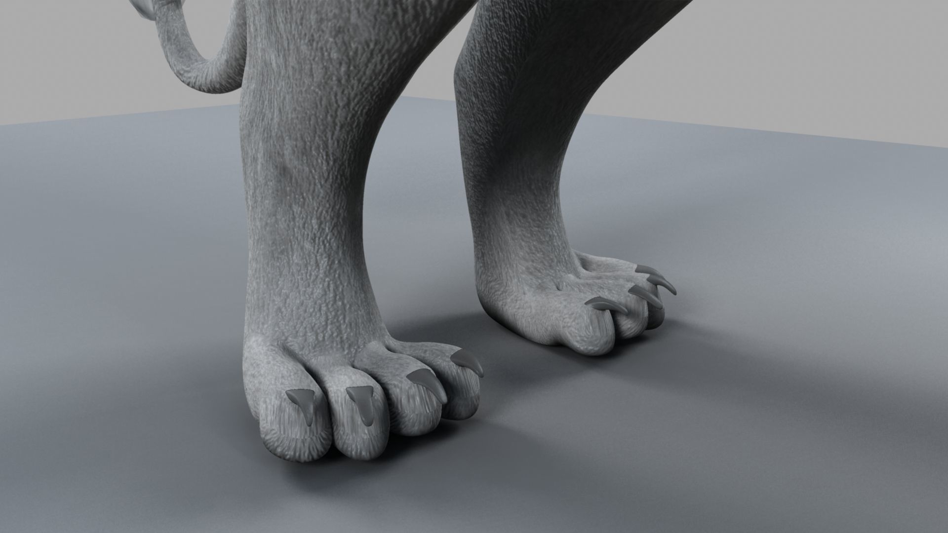 White Lion 3D model_8