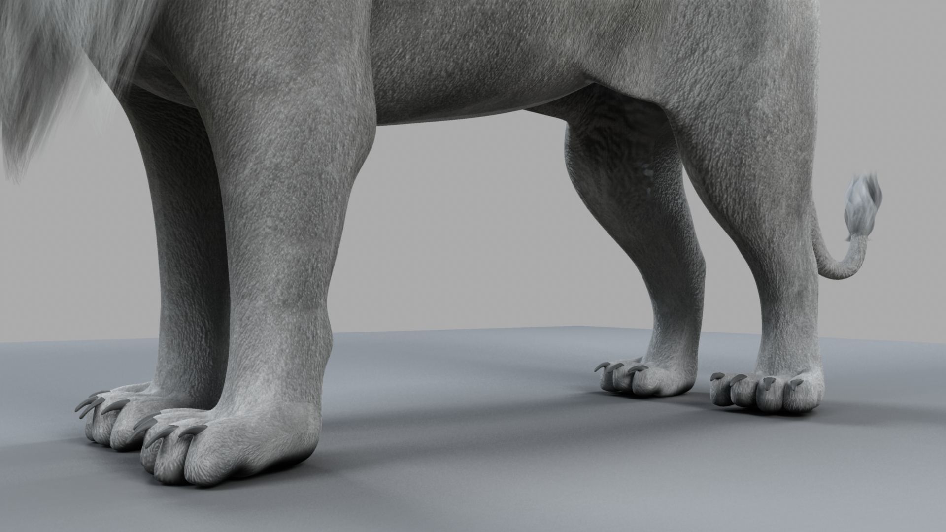 White Lion 3D model_11