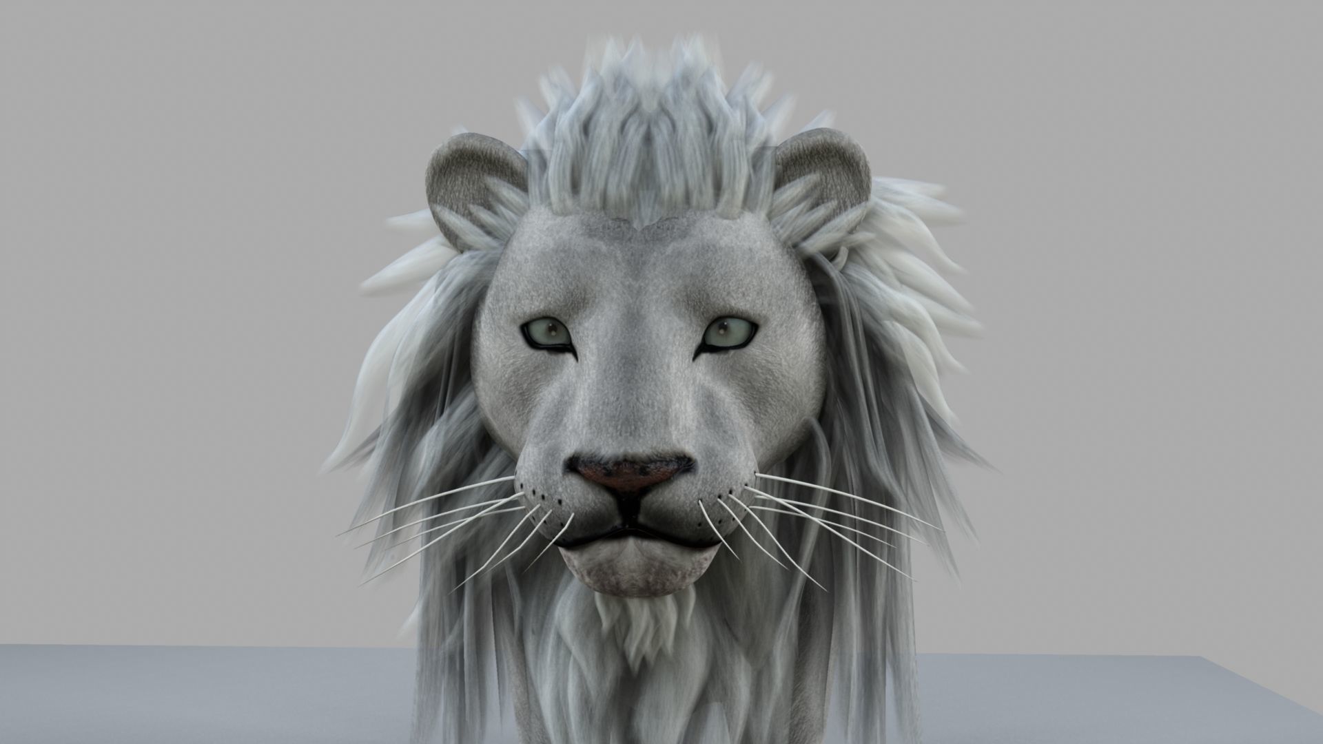 White Lion 3D model_32