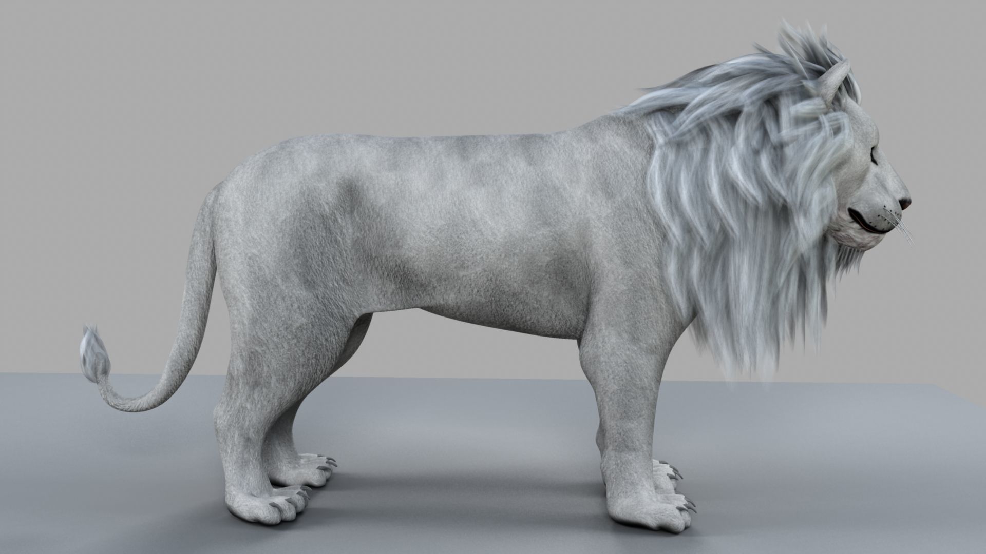 White Lion 3D model_14